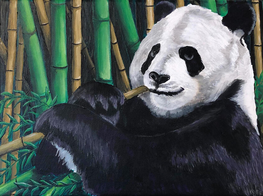 Panda